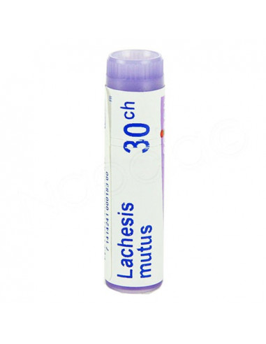 Lachesis Mutus Tube Dose Globules Boiron. 1g 30CH violet